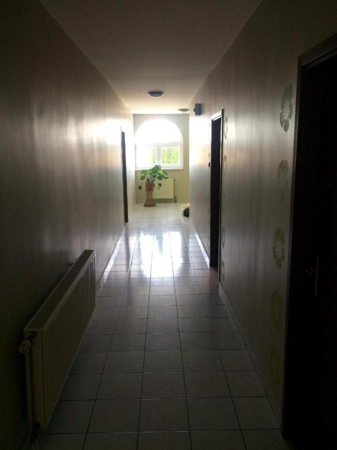 Venusz Panzio Es Vendeglo Bed and Breakfast Bagod Buitenkant foto